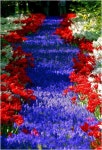 풍경에 있는 ê´í¸ ê¹님의 핀(이미지 포함) | 꽃 정원, 꽃, 아름다운