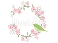 Pin on 식물일러스트수채