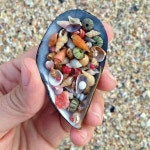 I love collect shells but I am afraid of water 😢 | 조개껍질 공예, 공예 쥬얼리, 바다 조개