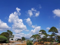 아껴두고 싶은 오늘의 날씨💙  #구례댁#나무야놀자#가을하늘#가을정원 | 가을 정원, 가을하늘