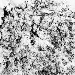 t117 B texture 권혁주 06