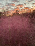 So pretty | 공원