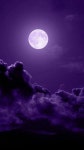 I love purple | 풍경 배경화면, 보름달, 자연