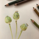 색연필 1 (colored pencil)에 있는 핀