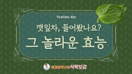 깻잎차에 있는 김명숙님의 핀(이미지 포함) | 약초, 건강, 건강 운동
