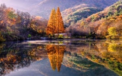 송곡지 by w12ci | 谷川, 山, 川