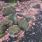 my photo♡에 있는 Ari님의 핀