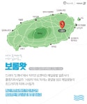 [카드뉴스] 메밀꽃, 수국, 선인장…여심 감싸는 여름의 제주 : 네이버 포스트 - 2020 | 카드 디자인, 여행, 웹 디자인 레이아웃