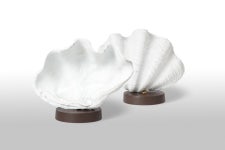 White Clam Shell on Base design by Barbara Cosgrove | 조개
