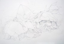 남일 수채화 Gallery | Art, Watercolor, Flowers