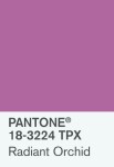 Color orquidea brillante, el color de la proxima temporada | Pantone color, Pantone, Radiant orchid