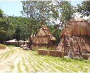 시호도 선사시대 테마공원에 있는 doorienc님의 핀 | 선사시대