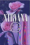 주식회사 너바나(Nirvana co., Ltd) | Nirvana에 있는 창범 박님의 핀