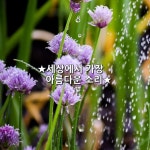 작은 것이라… | 화분 키우기, 정원 가꾸기, 아름다운 ★세상에서 가장 아름다운 소리... 
