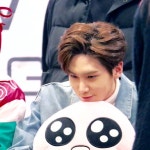 Pin de Lianaaa em 타곤이