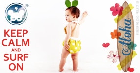 2015 May. bebedepino bebe de pino 베베드피노