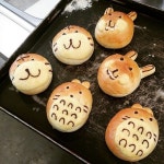 “#빵스타그램#빵#도쿄팡야#서판교#졸귀#토토로 ㅠㅠㅠㅠㅠㅠㅠㅠㅠ귀여워” | 빵, 토토로