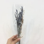 좋아요 21개, 댓글 3개 - Instagram의 플레르인(@fleurin_)님: 향기도 좋은 라벤더, 프리저브드플라워라 3년이상 볼 수 있어요.... 