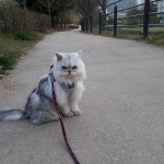 Watch the Best YouTube Videos Online -  . 오랜만에 장유 마실 | Animals, All about time