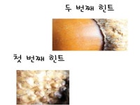 가을 이야기나누기 가을열매와 곡식 | 가을, 곡식, 감