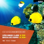 [이벤트 모음][제주항공] [여행대전 나트랑편 최종 우승팀 발표 및 투표 EVENT] 당첨자 발표 (게시:2018-12-27 14:00:51) | 감사