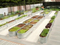 urban farm에 대한 이미지 검색결과 | 검색