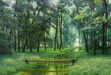 No75 고요한 숲(Silent Woods), 80.3×116.7cm, Oil on Canvas, 2013 | by Korean Artist An Jung-Hwans Nature Story | 풍경 그림... 