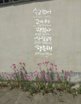 #캘리그라피 #calligraphy #글귀스타그램 #감성글 #공감글 #글귀스타그램 #손글씨 #예쁜글씨 #좋은글 #응원 #힐링 #설렘 #감성캘리 시간이... 