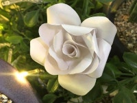 For beginners making - how to make white rose ☆ photo wall design ! Third Nature 서드네이처 | Paper flower garlands, Paper... 