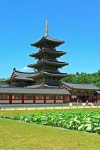 Korea Traditional에 있는 곰 팅이님의 핀 | 한국, 건축, 건축물