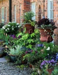that is my kind of garden | 정원 아이디어, 정원 가꾸기, 앞마당 조경