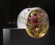 Academy of Flowerdesign / AoF Floristmeisterschule international — Vorwärts blicken - das ist spannend | 플로랄 디자인... 