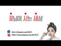 BJ Korea Sexy에 있는 핀