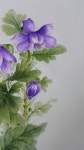 광목에 매발톱꽃 | 그리기 아이디어, 칠하기, 수채화 그림