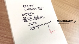 켈리 그라피에 있는 핀