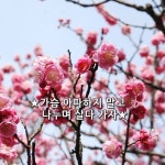#좋은글귀 좋은글 명언에 있는 핀