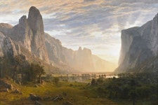 ♀ 제이나프라우드무어 | 요세미티