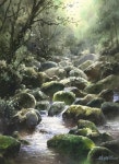 林經哲Lin Ching Che《綠境/Green Realm》 2016 Watercolor 40.5×29.5cm | 그림, 수채화, 바위