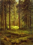 rompedas: FOREST LANDSCAPES | 그림, 숲, 나무