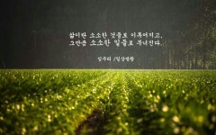 기타에 있는 m. ok님의 핀