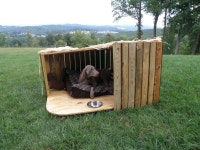 Outdoor Dog House | 인테리어