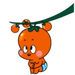 펫토 GIF