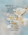 세실 캘리그라피에 있는 vdrygood님의 핀 - 2023 | 수채화 강좌, 강좌, 수채화