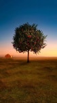 수채화 image by 아윤 | Tourist places, Tourist, Locations