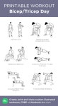 Bicep/Tricep Day: my visual workout created at WorkoutLabs.com • Click through to customize and download as a FREE PDF!... 