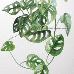 fabriano5 300g cotton 50% rough  mij…(이미지 포함) | 수채화 강좌, 나뭇잎, 수채화 아트 [초록초록한날, 그림이되다] ​ 날씨가 더우니 정신을... 