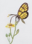 Pin on 야생화자수