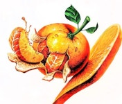 기초디자인에 있는 핀