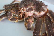 아닌 맛있는 레드 킹크랩 입니다.  http://blog.naver.com/parangcrab #킹크랩#해파랑#대게#대게맛집#대게싼곳#영덕대게 | Crab, Food, Animals