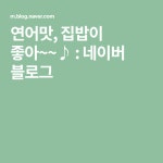 연어맛, 집밥이 좋아~~♪ | 블로그, 연어